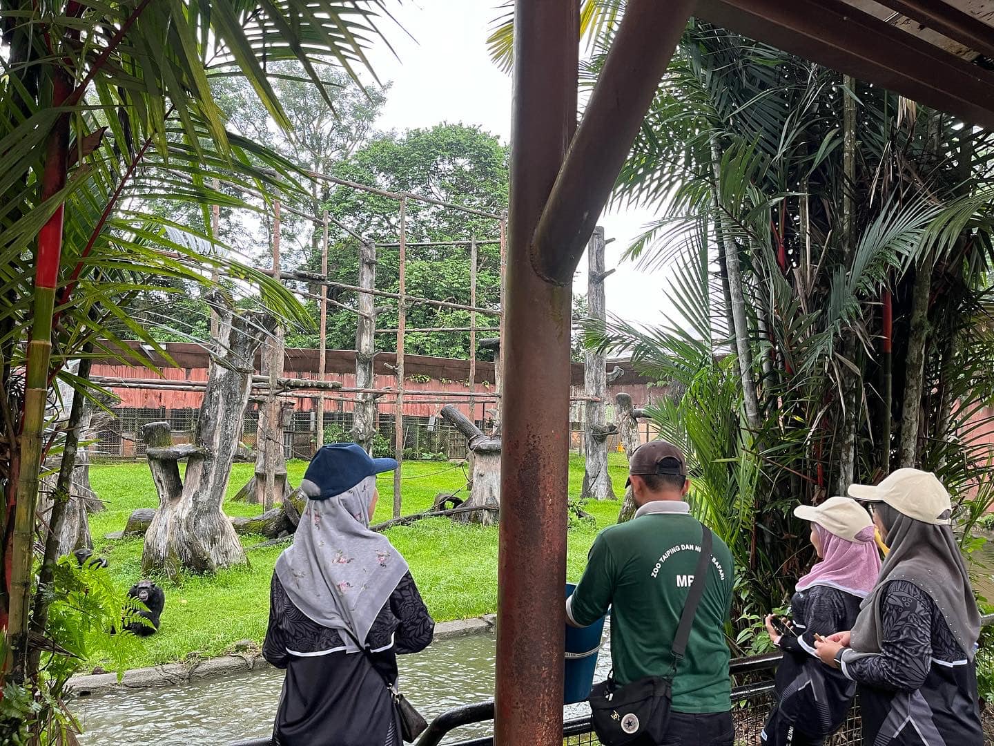 csr-di-zoo-taiping-5