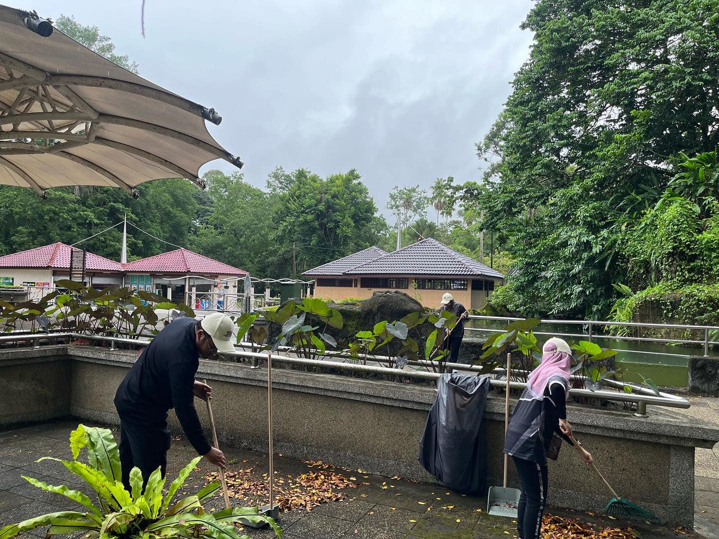 csr-di-zoo-taiping-7