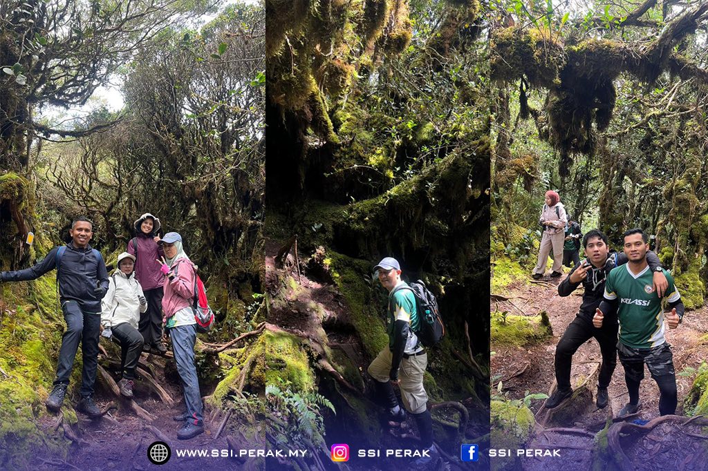 EKSPEDISI GUNUNG IRAU @ MOSSY FOREST ANJURAN KELASSi 4