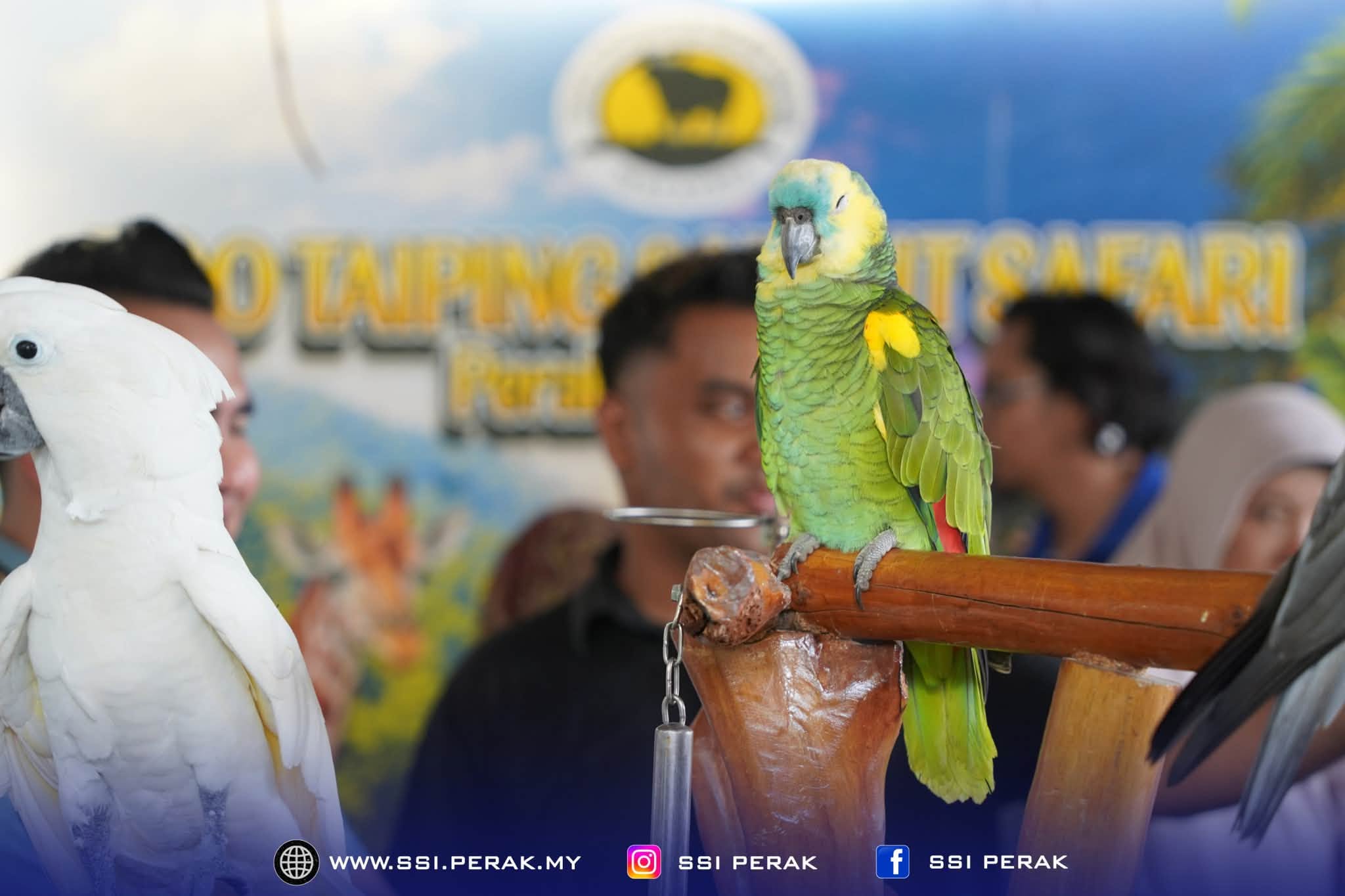 DYMM SULTAN PERAK BERKENAN BERANGKAT KE PAVILION PERAK SEMPENA MAHA 2026 8